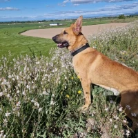 Adopta a Zeus