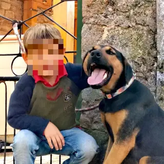 Teo