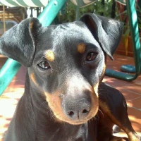 Adopta a Luky