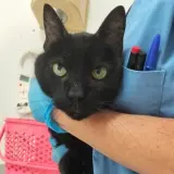 Adopta a Aloe