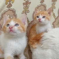 Adopta a Hijos Blanche Y Pati