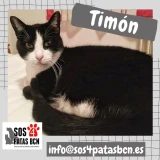 Adopta a Timón