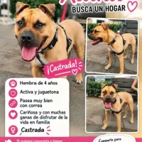 Adopta a Xiana