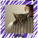 Adopta a Bonnie