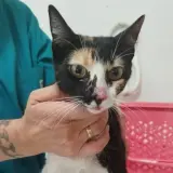 Adopta a Maruja