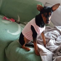 Adopta a Kira