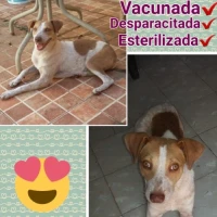 Adopta a Moka