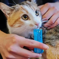 Adopta a Venus