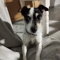 Adopta a Lola