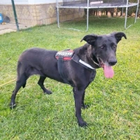Adopta a Valentina