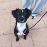 Adopta a Kenia