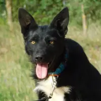 Adopta a Eneko
