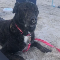 Adopta a Camille Andrea