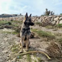 Adopta a Luna