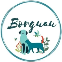 Borguau