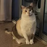 Adopta a Bel-La