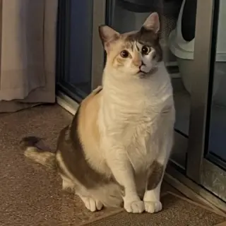 Bel-La