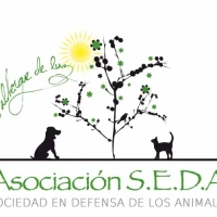 Asociación S.E.D.A