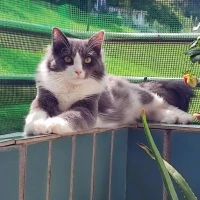 Adopta a María López Anguita