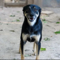 Adopta a Glu