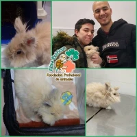 Adopta a Peluchín