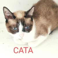 Adopta a Cata