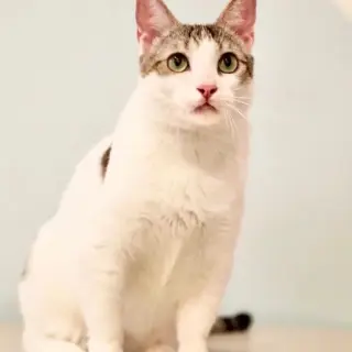 Óscar