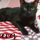 Adopta a Jueves