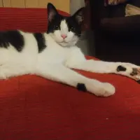 Adopta a Matilda