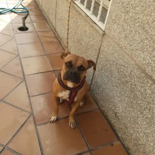 Kira