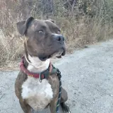Adopta a Luna