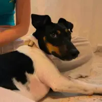 Adopta a Rita