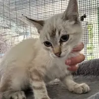 Adopta a Aitana