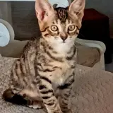 Adopta a Mia Y Lia