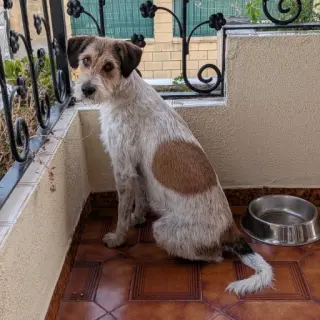 Bianca