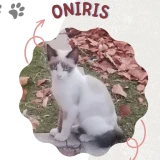 Adopta a Oniris