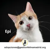 Adopta a Epi