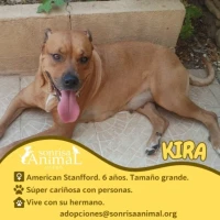 Adopta a Kira