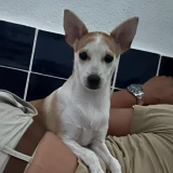 Adopta a Pupi