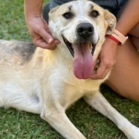 Adopta a María