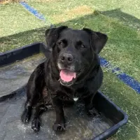 Adopta a Duna