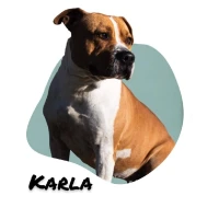 Adopta a Karla