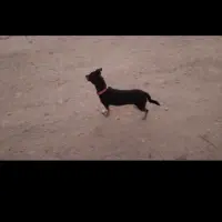 Adopta a Luna