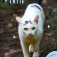 Adopta a Latte