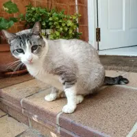 Adopta a Nadia
