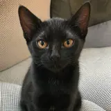 Adopta a Natalia