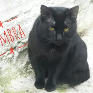 Sombra