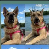 Adopta a Xika