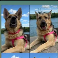 Adopta a Xika
