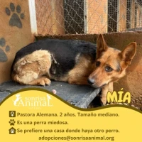 Adopta a Mia